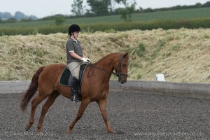 ISIS Dressage Challenge 2008